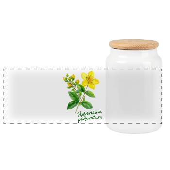 Hypericum perforatum - botanische Illustration - Panorama Keksdose mit Holzdeckel - Weiß - Vorne
