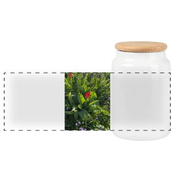 Tulipes dans le jardin printanier - Boîte à biscuits avec couvercle en bois - blanc - Devant