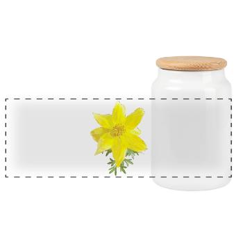 Yellow Blossoms Watercolor - Panoramic Cookie Jar with Wooden Lid - white - Front