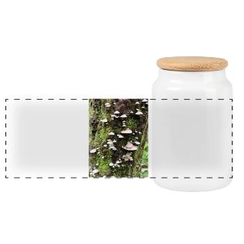 Moss-covered mushroom colony on the tree - Panoramic Cookie Jar with Wooden Lid - white - Front