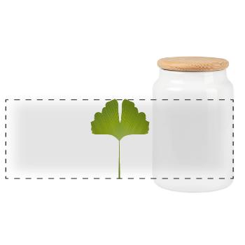 juicy green ginkgo leaf with bright lines - Panoramic Cookie Jar with Wooden Lid - white - Front