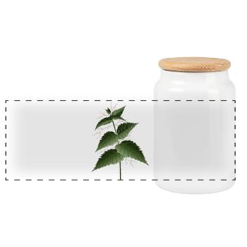 large nettle with large dark green leaves - Panoramic Cookie Jar with Wooden Lid - white - Front