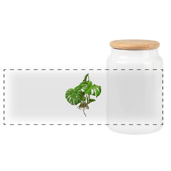 Monstera - Fensterblatt - Panorama Keksdose mit Holzdeckel - Weiß - Vorne