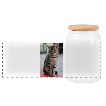 Katze Kätzchen Poster Katzenposter - Panorama Keksdose mit Holzdeckel - Weiß - Vorne