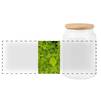 Ash maple / Acer negundo - Panoramic Cookie Jar with Wooden Lid - white - Front