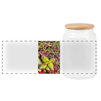 Coleus Colour Play Leaves/ Nettle - Panoramic Cookie Jar with Wooden Lid - white - Front