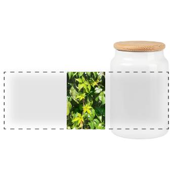 Vin sauvage jeune - Boîte à biscuits avec couvercle en bois - blanc - Devant