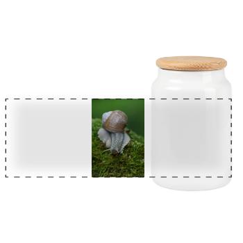 Snail on moss – close-up - Panoramic Cookie Jar with Wooden Lid - white - Front