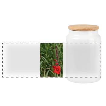 Gladiole – Stärke in Blüte - Panorama Keksdose mit Holzdeckel - Weiß - Vorne
