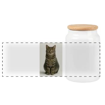 Portrait assis de chat tigré - Boîte à biscuits avec couvercle en bois - blanc - Devant