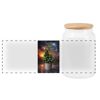Plante dans la lumière de tempête - Boîte à biscuits avec couvercle en bois - blanc - Devant