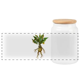 Grim Root Creature Fantasy Design - Panoramic Cookie Jar with Wooden Lid - white - Front