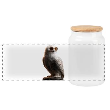 Snowy Owl White Owl Owl Owl Owl Snow Owl - Panoramic Cookie Jar with Wooden Lid - white - Front