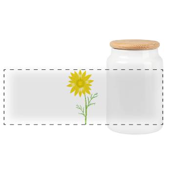 Gelbes Frühlings-Adonisröschen – Blumenmotiv - Panorama Keksdose mit Holzdeckel - Weiß - Vorne