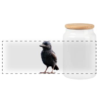 Corbeau, Corbeau, Oiseau, Corbeau Corbeau, Choucas, Corbeau noir - Boîte à biscuits avec couvercle en bois - blanc - Devant