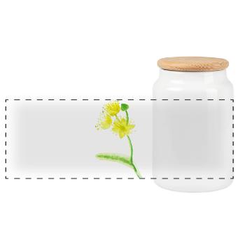 Illustration de fleurs de citron vert jaunes - Aquarelles - Boîte à biscuits avec couvercle en bois - blanc - Devant