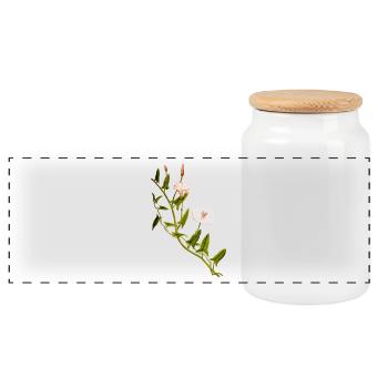 kraeuter rosmarin petersilie thymian dill oregano - Panorama Keksdose mit Holzdeckel - Weiß - Vorne