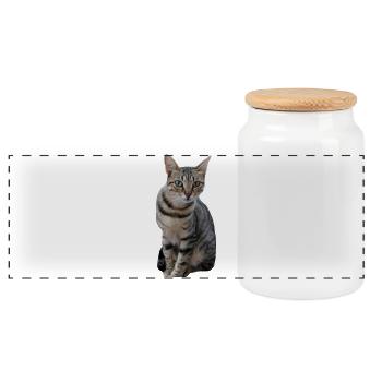 Katze Kätzchen - Panorama Keksdose mit Holzdeckel - Weiß - Vorne
