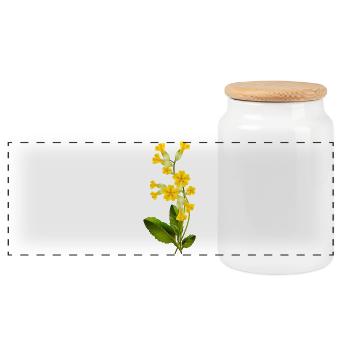 Schlüsselblume mit leuchtenden Blüten im Frühling - Panorama Keksdose mit Holzdeckel - Weiß - Vorne