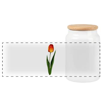 Tulpe - Panorama Keksdose mit Holzdeckel - Weiß - Vorne