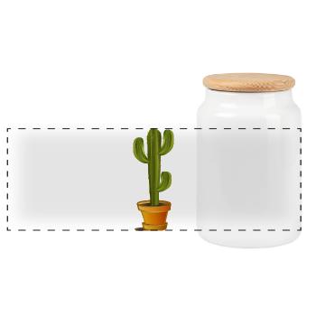 Grand cactus vert dans un pot de fleurs - Boîte à biscuits avec couvercle en bois - blanc - Devant