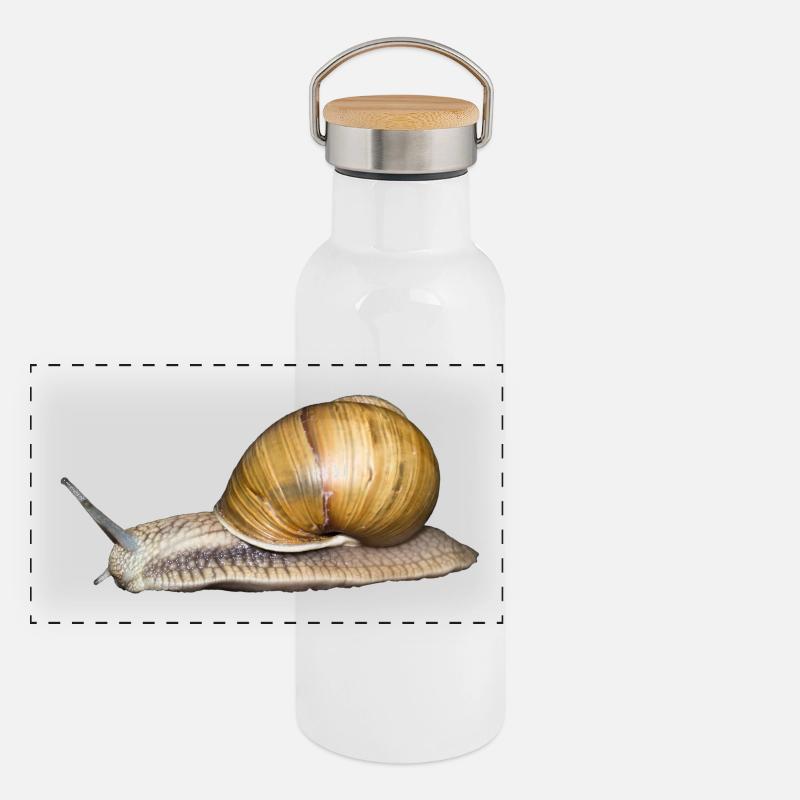 The Panoramic Thermal Bottle with Bamboo Lid