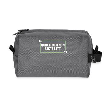 Latin Funny Latin Saying - Recycled Toiletry Zip Bag - anthracite - Front