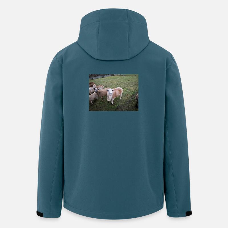 Bocki - Recycelte Männer Softshell-Jacke von Stanley/Stella - Dunkles Petrol