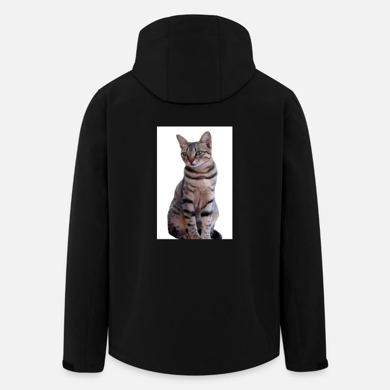Katze Katze Schwarzes Kätzchen - Recycelte Männer Softshell-Jacke von Stanley/Stella - Schwarz