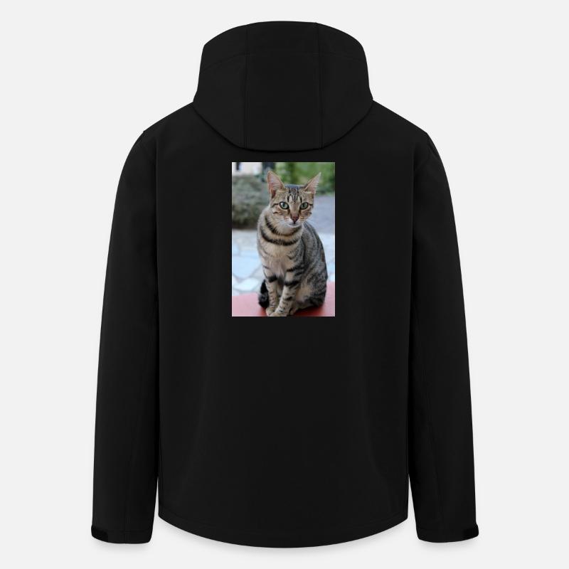 Katze Kätzchen Poster Katzenposter - Recycelte Männer Softshell-Jacke von Stanley/Stella - Schwarz