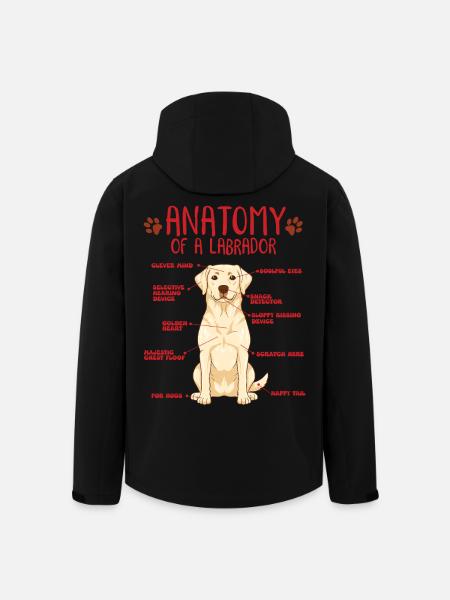 Chemise jaune d’anatomie Labrador - Veste softshell homme en polyester recyclé Stanley/Stella - noir