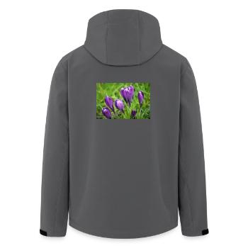 Purple Crocus Cluster im Frühlingsgarten - Recycelte Männer Softshell-Jacke von Stanley/Stella - Schwarz - Hinten - AI Model Male 185 light (185cm)