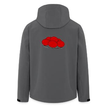 Bollenhut Schwarzwald Freiburg - Recycelte Männer Softshell-Jacke von Stanley/Stella - Anthrazit - Hinten - AI Model Male 185 light (185cm)