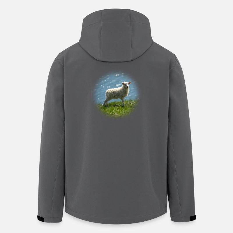 Junges Island Schaf auf Wiese - Recycelte Männer Softshell-Jacke von Stanley/Stella - Anthrazit