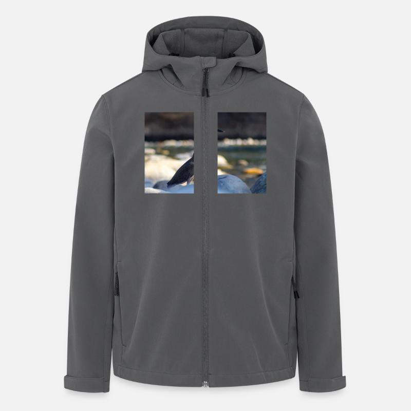 Der Reiher - Recycelte Männer Softshell-Jacke von Stanley/Stella - Anthrazit