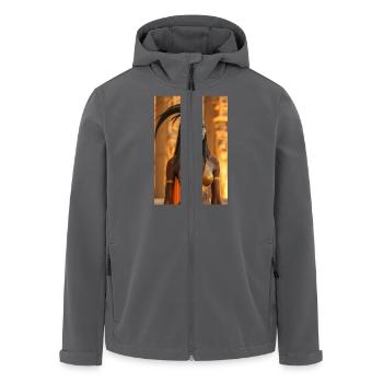 Ma'at, federgekrönte Göttin, die Schuppen von - Recycelte Männer Softshell-Jacke von Stanley/Stella - Anthrazit - Vorne - AI Model Male 185 light (185cm)