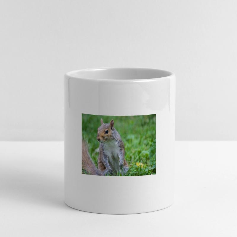 Grey squirrel Grauhörnchen Sciurus carolinensis Panoramic mug with heart handle