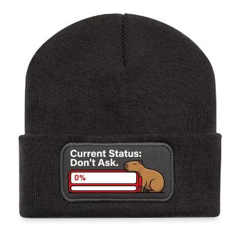 Capybara Fatigué Batterie Vide Humour - Beanie recyclé à patch - charbon - Devant
