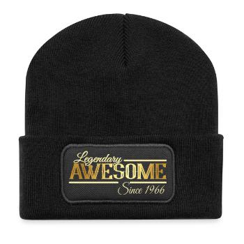 Legendary Awesome Vintage Vintage 1966 60's - Recycled Patch Beanie - black - Front