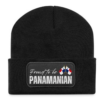 Proud Panamanian, I love Panama - Recycled Patch Beanie - black - Front