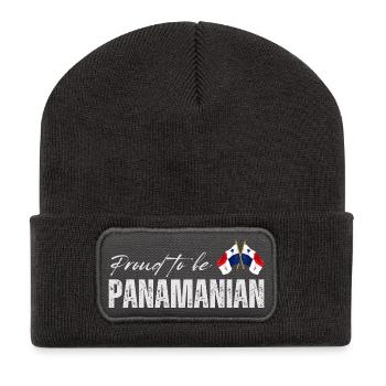 Proud Panamanian, I love Panama - Recycled Patch Beanie - dark grey - Front