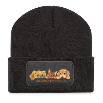 Peeking cute ginger cat and two dogs - Recycled Patch Beanie - dark grey - Front