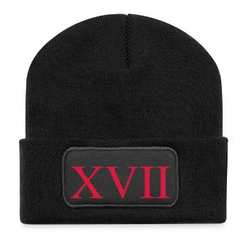 17 - Recycelte Patch Beanie - Schwarz - Vorne