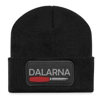 Dalarna - Recycelte Patch Beanie - Schwarz - Vorne