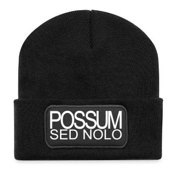 Possum sed nolo - Recycled Patch Beanie - black - Front
