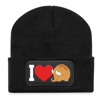 Mammoth - Recycled Patch Beanie - black - Front