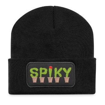 Spiky Cactus - Cactus Tee - Recycelte Patch Beanie - Schwarz - Vorne