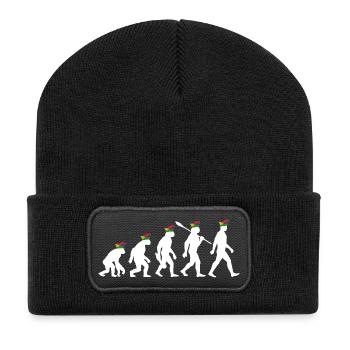 Homo Karnevalis | Evolution der Narren, Fastnacht - Recycelte Patch Beanie - Schwarz - Vorne