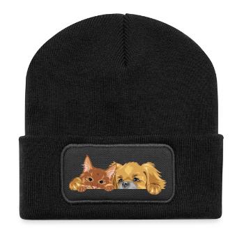 Peeking ginger cat and Pekingese dog - Recycled Patch Beanie - black - Front