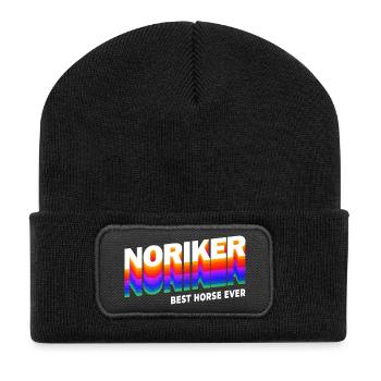 Noriker Pferde Design / Geschenkidee - Recycelte Patch Beanie - Schwarz - Vorne